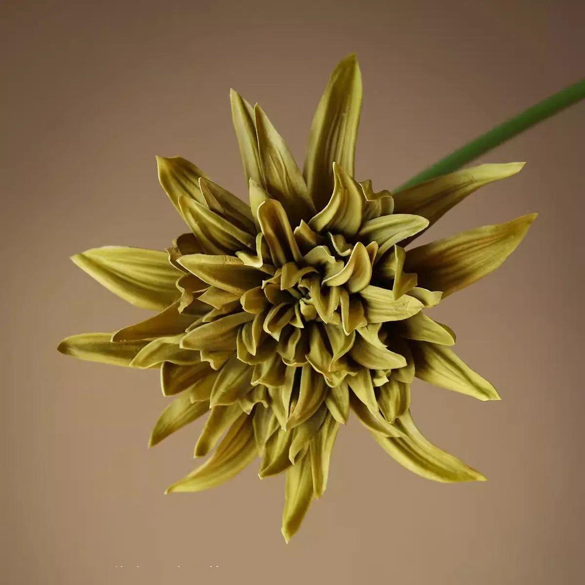 Artificial Dahlia and Poppies Stems