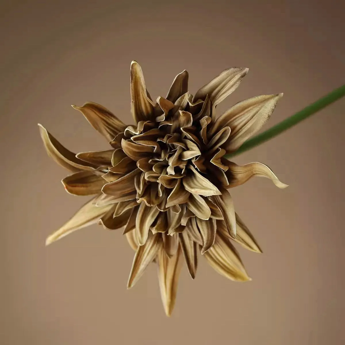 Artificial Dahlia and Poppies Stems