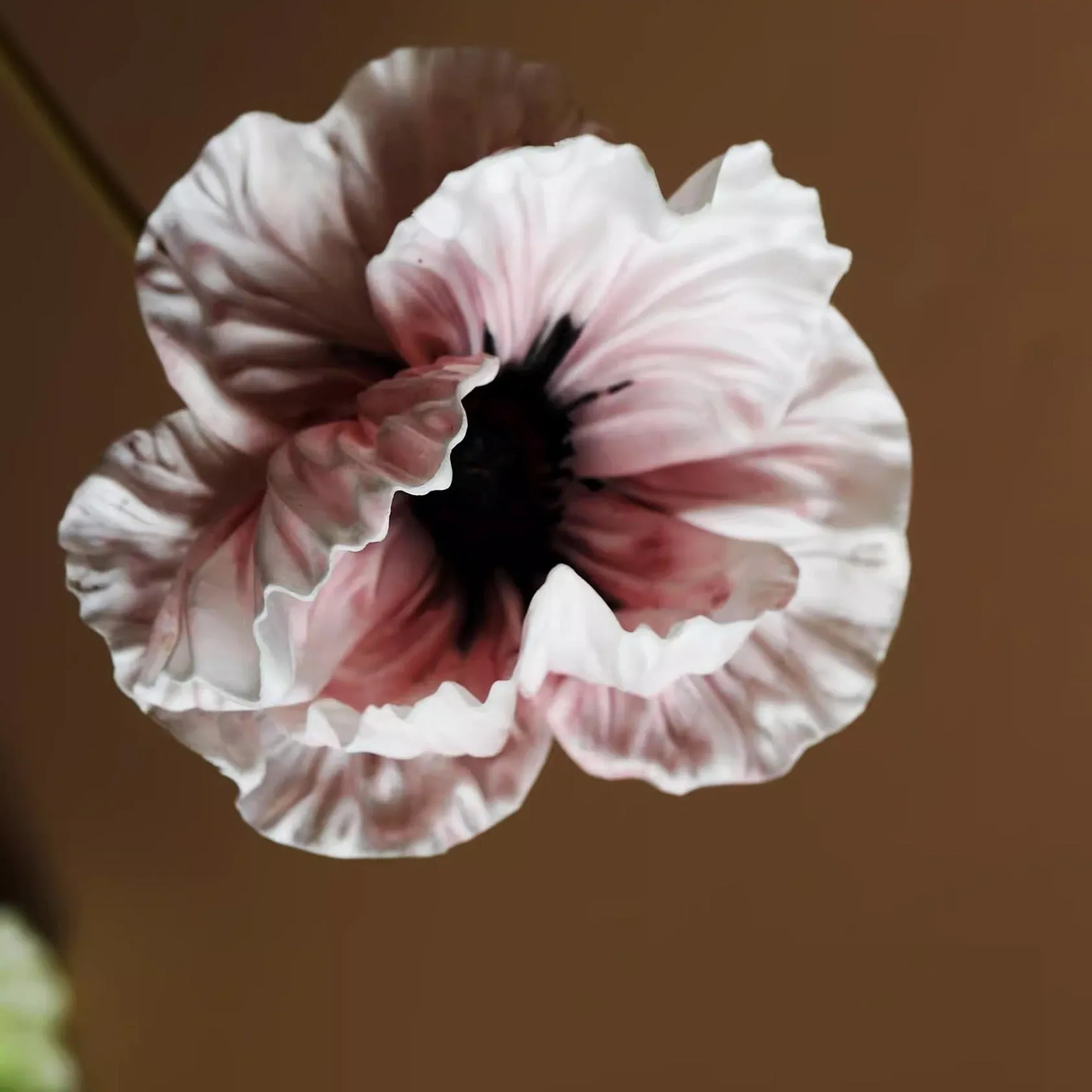 Artificial Dahlia and Poppies Stems