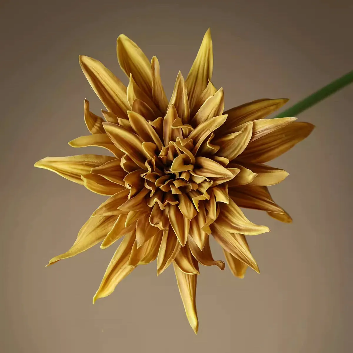 Artificial Dahlia and Poppies Stems